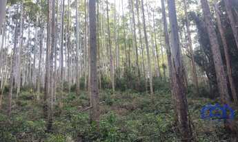 Imagem: Sítio/Fazenda à Venda, 771,48 alqueires