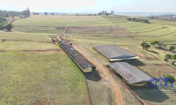 Imagem 6: Haras à Venda, 42 alqueires por R$ 25.000.000 Cód. ch2442