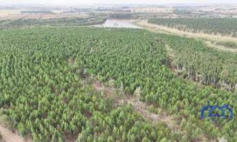 Imagem 5: Sítio/Fazenda à Venda, 194,14 alqueires por R$ 35.000.000 Cód. ch2063