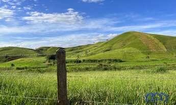 Imagem: Sítio/Fazenda à Venda, 330 alqueires por