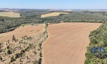Imagem: Sítio/Fazenda à Venda, 75 alqueires por