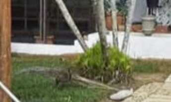 Imagem 5: Sítio com 8 Quartos e 8 banheiros à Venda, 68.000 m² por R$ 3.300.000 Cód. ch2433