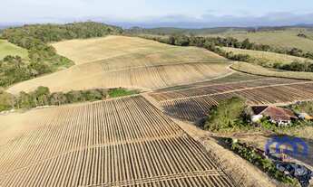 Imagem: Sítio/Fazenda à Venda, 50 alqueires por