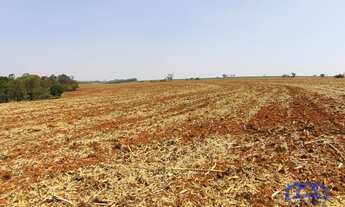 Imagem 4: Sítio/Fazenda à Venda, 127,47 alqueires por R$ 36.000.000 Cód. ch2481