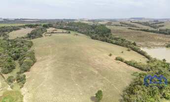 Imagem: Sítio/Fazenda à Venda, 13,08 alqueires