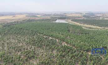 Imagem 4: Sítio/Fazenda à Venda, 194,14 alqueires por R$ 35.000.000 Cód. ch2063