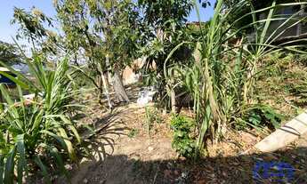 Imagem 7: Chácara com 3 Quartos e 2 banheiros à Venda, 750 m² por R$ 650.000 Cód. ch2447