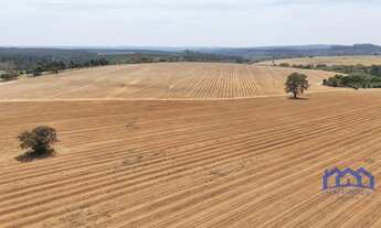 Imagem 4: Sítio/Fazenda à Venda, 53 alqueires por R$ 15.500.000 Cód. ch2449