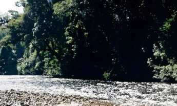 Imagem: Área à Venda, 334 alqueires por R$ 10.600.000