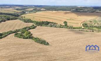 Imagem: Sítio/Fazenda à Venda, 38,86 alqueires