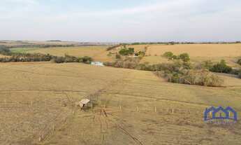 Imagem: Sítio/Fazenda à Venda, 12,12 alqueires