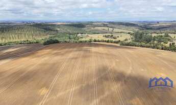 Imagem 3: Sítio/Fazenda à Venda, 87,08 alqueires por R$ 20.000.000 Cód. ch2483