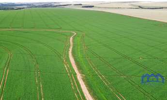 Imagem: Sítio/Fazenda à Venda, 690 alqueires por