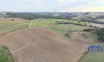 Imagem: Sítio/Fazenda à Venda, 49 alqueires por