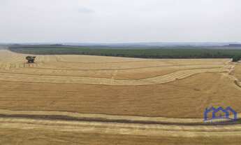 Imagem 3: Sítio/Fazenda à Venda, 141,6 alqueires por R$ 35.000.000 Cód. ch2048