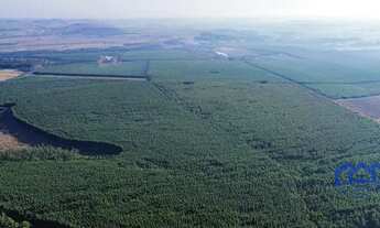 Imagem: Sítio/Fazenda à Venda, 321 alqueires por