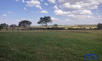 Imagem: Haras à Venda, 26 alqueires por R$ 14.000.000