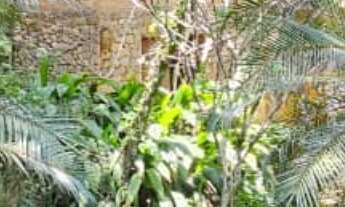 Imagem 5: Chácara com 7 Quartos e 5 banheiros à Venda, 15.000 m² por R$ 5.000.000 Cód. ch1226