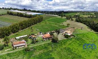 Imagem: Sítio/Fazenda à Venda, 4,42 alqueires