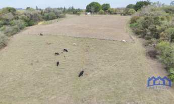 Imagem 6: Sítio/Fazenda à Venda, 13,08 alqeires por R$ 2.200.000 Cód. ch2533