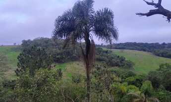 Imagem: Chácara com 1 banheiro à Venda, 5.000