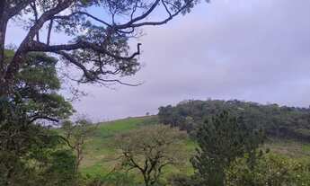 Imagem 6: Chácara com 1 banheiro à Venda, 5.000 m² por R$ 319.000 Cód. ch2522