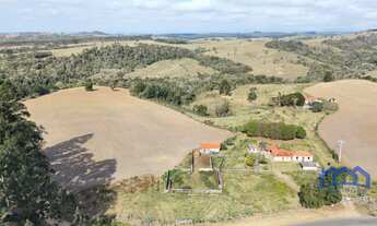 Imagem 2: Sítio/Fazenda à Venda, 48,25 alqueires por R$ 4.500.000 Cód. ch2558