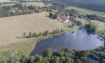 Imagem: Sítio/Fazenda à Venda, 56 alqueires por