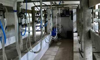 Imagem 6: Sítio/Fazenda à Venda, 174 alqueires por R$ 10.000.000 Cód. ch2556