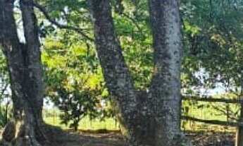 Imagem 5: Sítio/Fazenda à Venda, 9 alqueires por R$ 1.650.000 Cód. ch2547