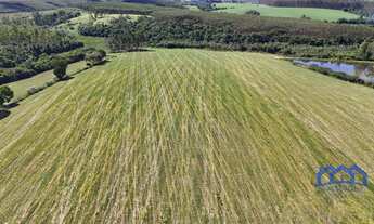 Imagem 3: Sítio/Fazenda à Venda, 23 alqueires por R$ 7.000.000 Cód. ch2546