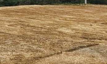 Imagem: TERRENO RURAL em ALUMÍNIO - SP