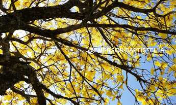 Imagem 7: Sitio a Venda em Itatiba, imovel de alto padrão, Condomínio Fechado, Glebas de San Diego