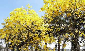 Imagem 5: Sitio a Venda em Itatiba, imovel de alto padrão, Condomínio Fechado, Glebas de San Diego