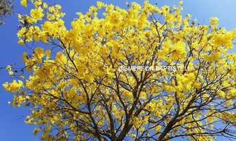 Imagem 4: Sitio a Venda em Itatiba, imovel de alto padrão, Condomínio Fechado, Glebas de San Diego