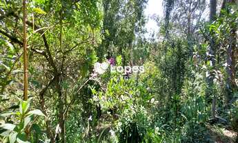 Imagem 7: Terreno em loteamento de chácaras à Venda em Valinhos - São Paulo