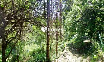 Imagem 2: Terreno em loteamento de chácaras à Venda em Valinhos - São Paulo