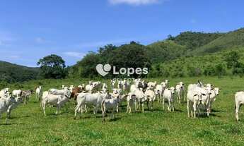 Imagem 7: Fazenda a Venda 64 alqueires - São Carlos - São Paulo
