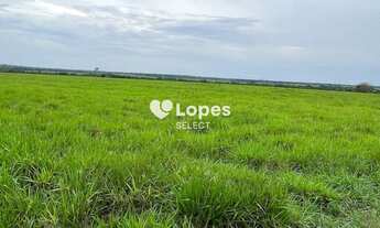 Imagem 3: Fazenda à venda com porteira fechada, 17.125 hectares, Araguaína-TO