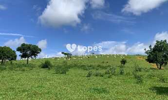 Imagem 4: Fazenda a Venda 64 alqueires - São Carlos - São Paulo