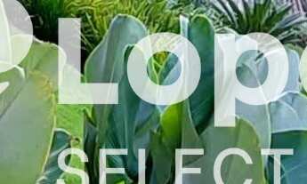 Imagem 2: Casa a venda Vinhedo-SP