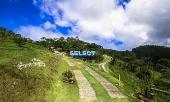 Imagem: Sítio a venda em São Francisco Xavier