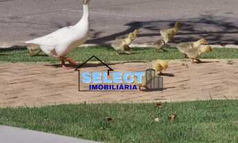 Imagem 5: Terreno Exclusivo no Condomínio Reserva dos Vinhedos, Louveira!