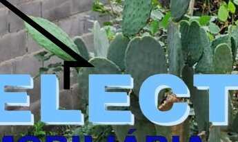 Imagem 6: Chácara à venda em Campinas-SP, Vila João Jorge: 3 quartos, 2 salas, 4 banheiros, 4 vagas