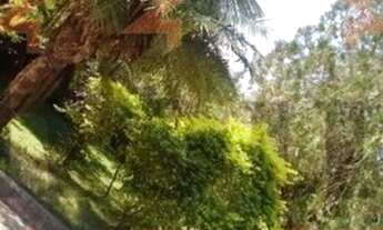 Imagem 3: Chácara à venda em Campinas-SP, com 3 quartos, 3 suítes e 362,31 m² de área no bairro Lote