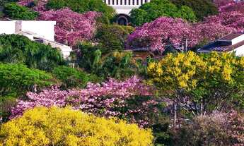 Imagem 7: Terreno Comercial de Alto Padrão no Centro de Paulínia-SP com 6 Quartos, 2 Salas e 671,40m