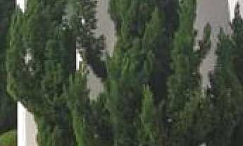 Imagem 4: Oportunidade única: Casa em condomínio de luxo com 4 quartos e 4 suítes no Parque Brasil 5