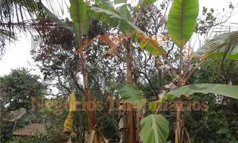 Imagem 6: Chácara à venda em Paulínia-SP, Nova Veneza: 3 quartos, 1 suíte, 2 salas, 4 banheiros, 2 v