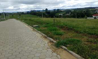 Imagem 7: Lucia Giassi 2, Lote, Terreno, Loteamento, Linha Anta, achei , meu lote, Giassi, Lotea