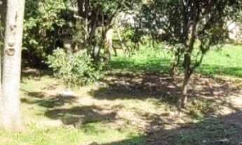 Imagem 4: Casa 3 dormitórios Suite com Piscina à Venda em Criciúma sc